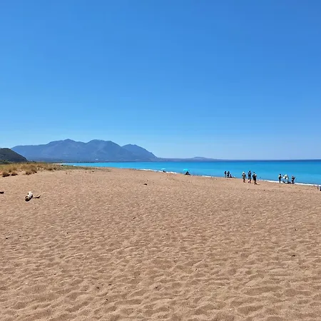 Bright Near Beach, *