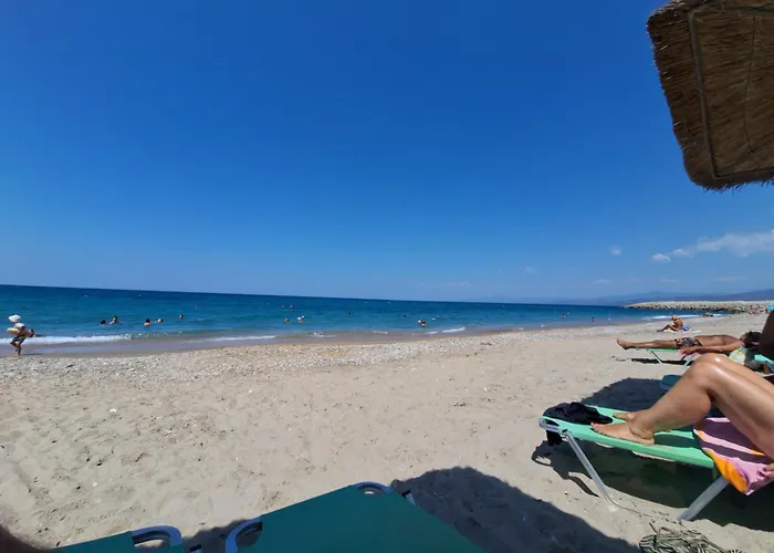 Bright Near Beach, Daire